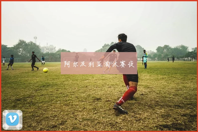 阿尔及利亚淘汰赛夜