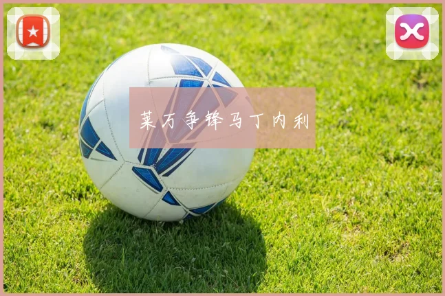 莱万争锋马丁内利