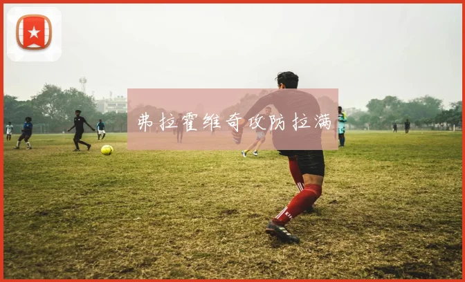 弗拉霍维奇攻防拉满