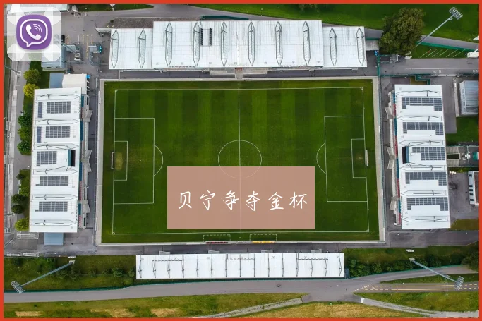 贝宁争夺金杯