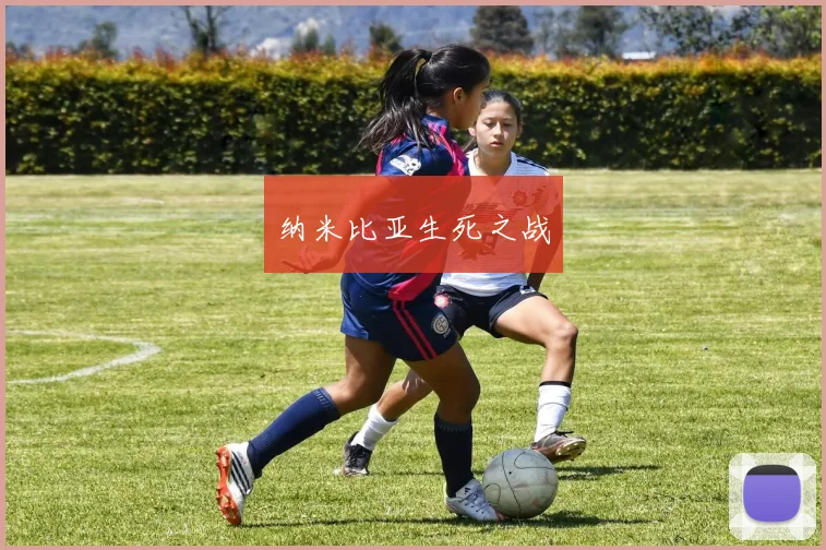 纳米比亚生死之战
