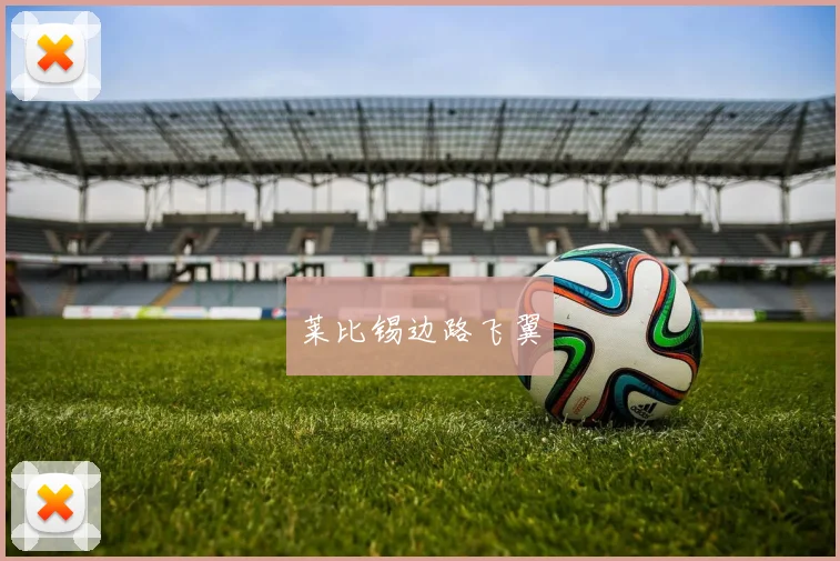 莱比锡边路飞翼