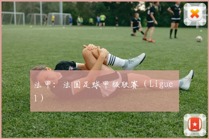 法甲：法国足球甲级联赛（Ligue 1）