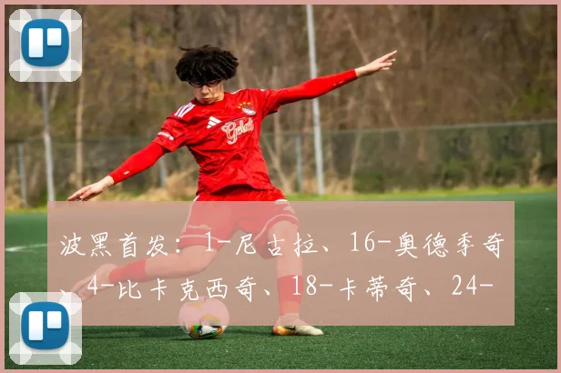 波黑首发：1-尼古拉、16-奥德季奇、4-比卡克西奇、18-卡蒂奇、24-加齐比科维奇、8-吉戈维奇、6-塔希罗维奇、14-萨里奇、21-拉德利奇、20-哈里斯、10-德米洛维奇
