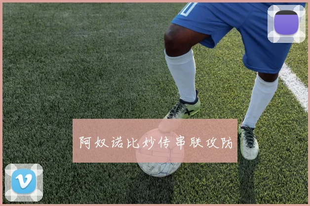 阿奴诺比妙传串联攻防