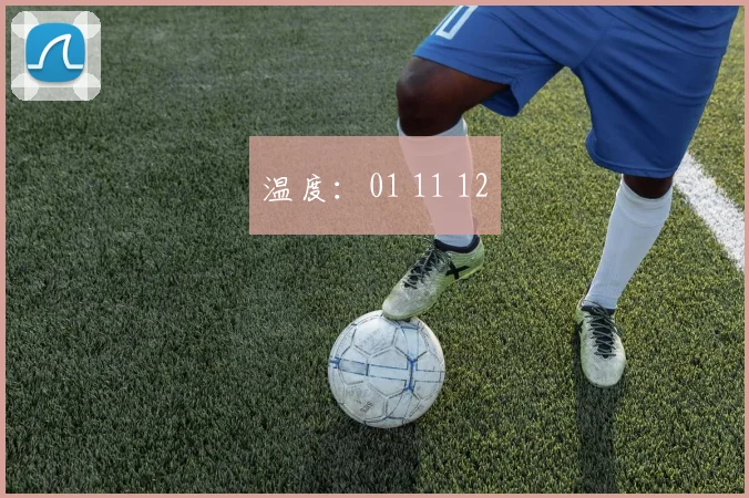 温度：01 11 12