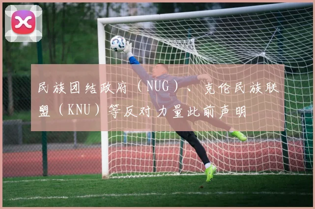 民族团结政府（NUG）、克伦民族联盟（KNU）等反对力量此前声明