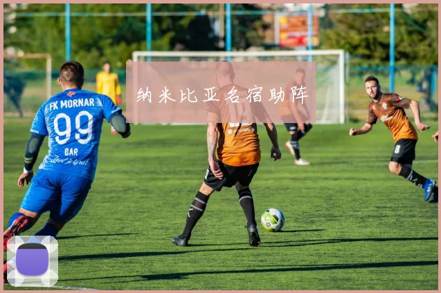 纳米比亚名宿助阵