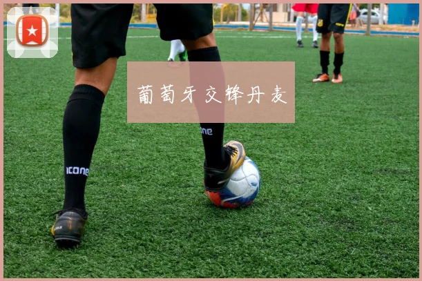 葡萄牙交锋丹麦