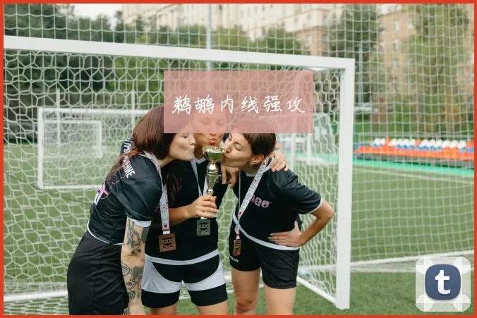 鹈鹕内线强攻