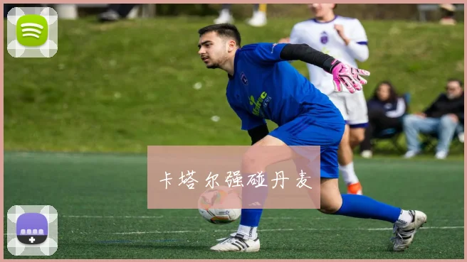 卡塔尔强碰丹麦