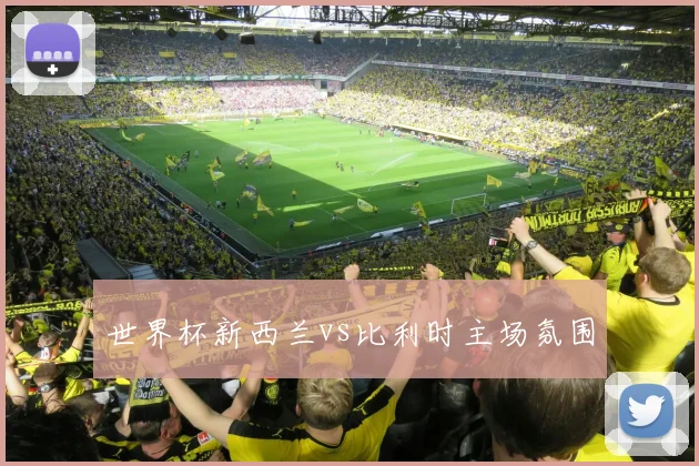 世界杯新西兰vs比利时主场氛围