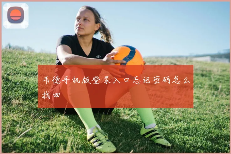 韦德手机版登录入口忘记密码怎么找回