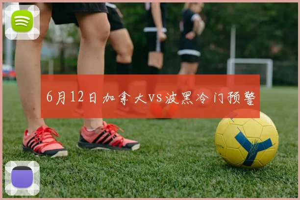 6月12日加拿大vs波黑冷门预警