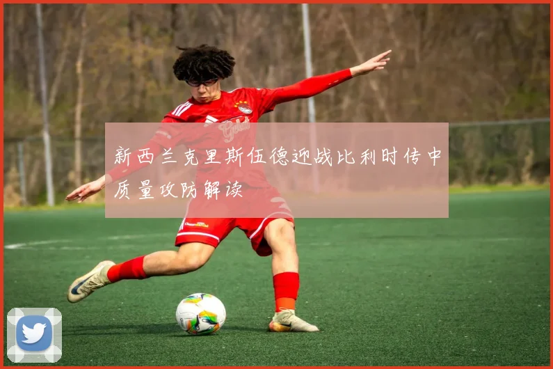 新西兰克里斯伍德迎战比利时传中质量攻防解读