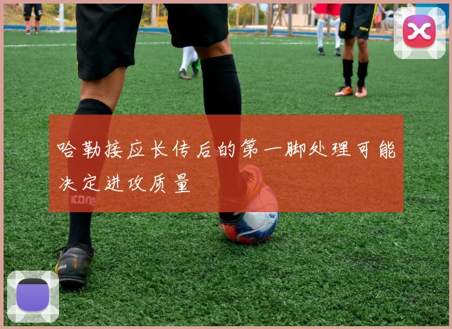 哈勒接应长传后的第一脚处理可能决定进攻质量