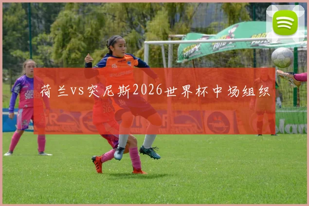 荷兰vs突尼斯2026世界杯中场组织