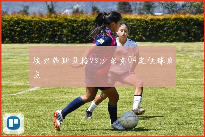 埃尔弗斯贝格vs沙尔克04定位球看点