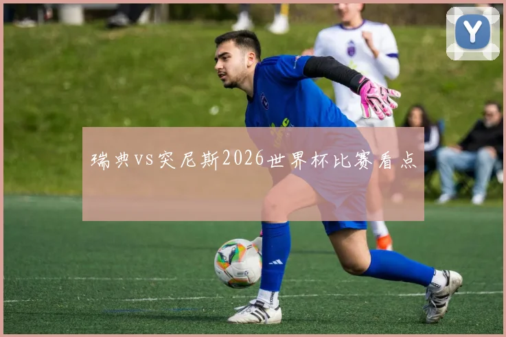 瑞典vs突尼斯2026世界杯比赛看点