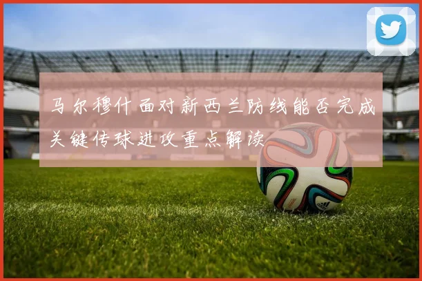 马尔穆什面对新西兰防线能否完成关键传球进攻重点解读