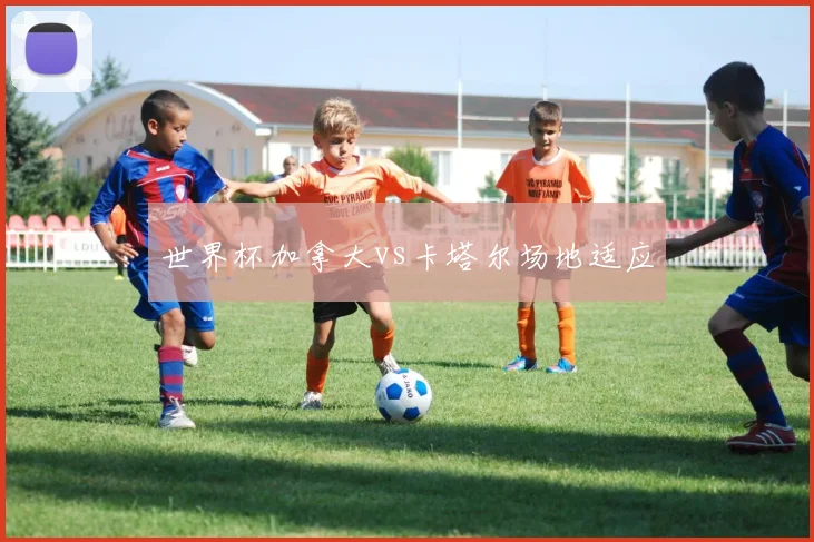 世界杯加拿大vs卡塔尔场地适应